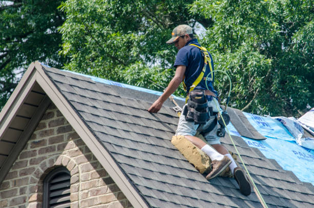 Best Storm Damage Roof Repair  in Ashland, PA